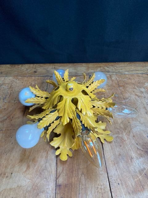 Bianci Firense 1960s "Florentine" wall/ceiling light