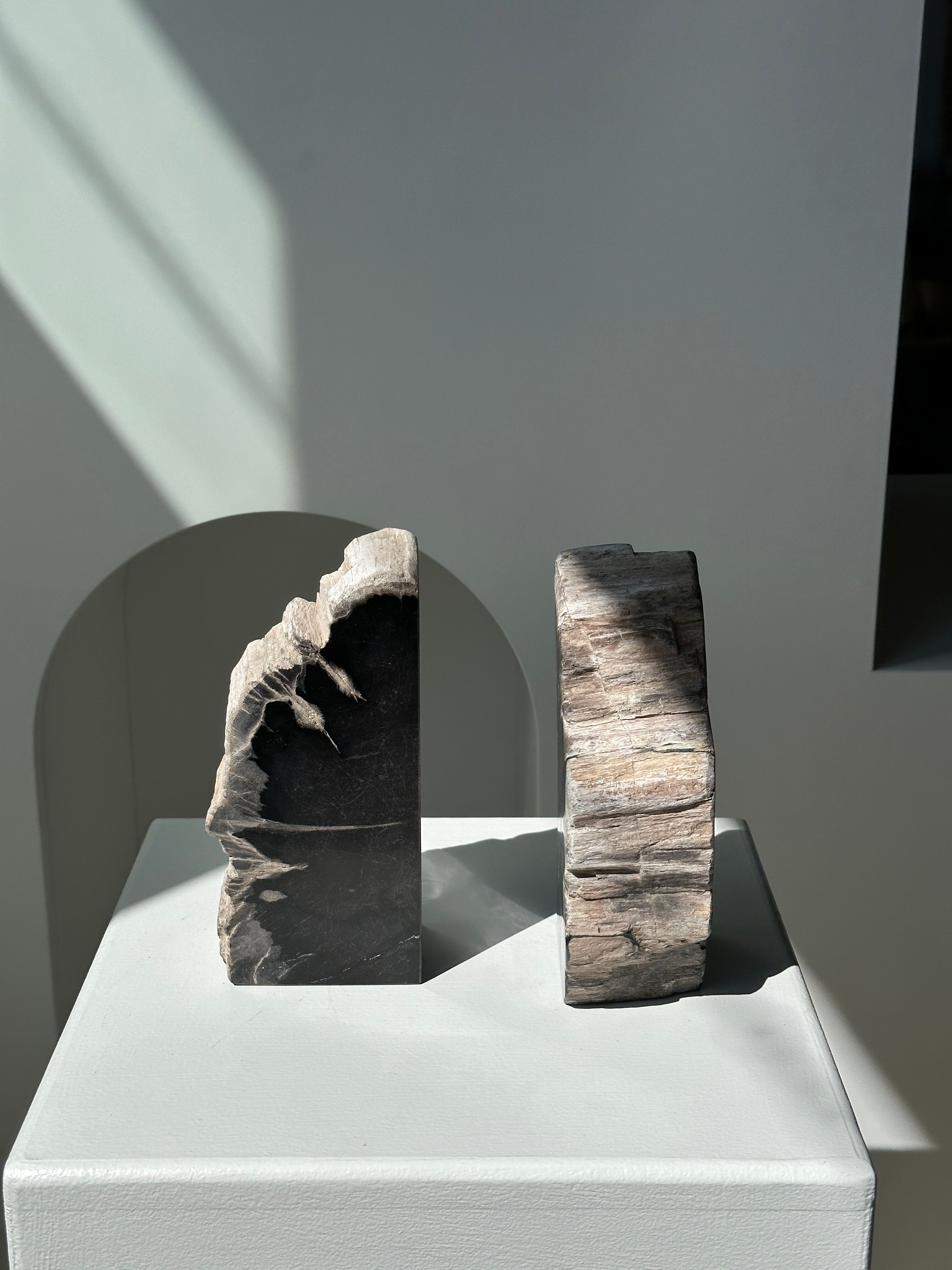 Black petrified wood bookend H17 L17 P6