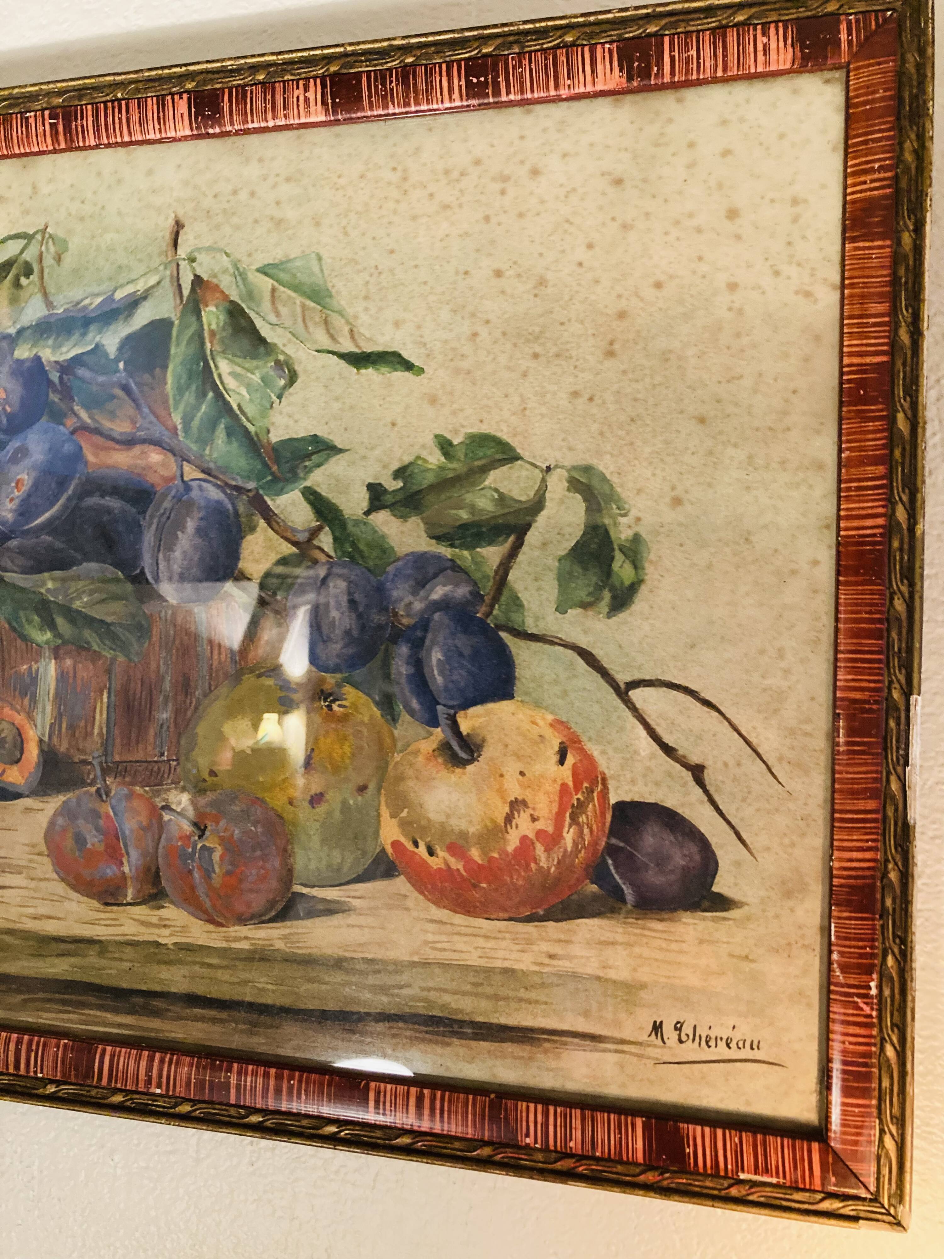 Watercolor still life fruits