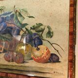 Watercolor still life fruits