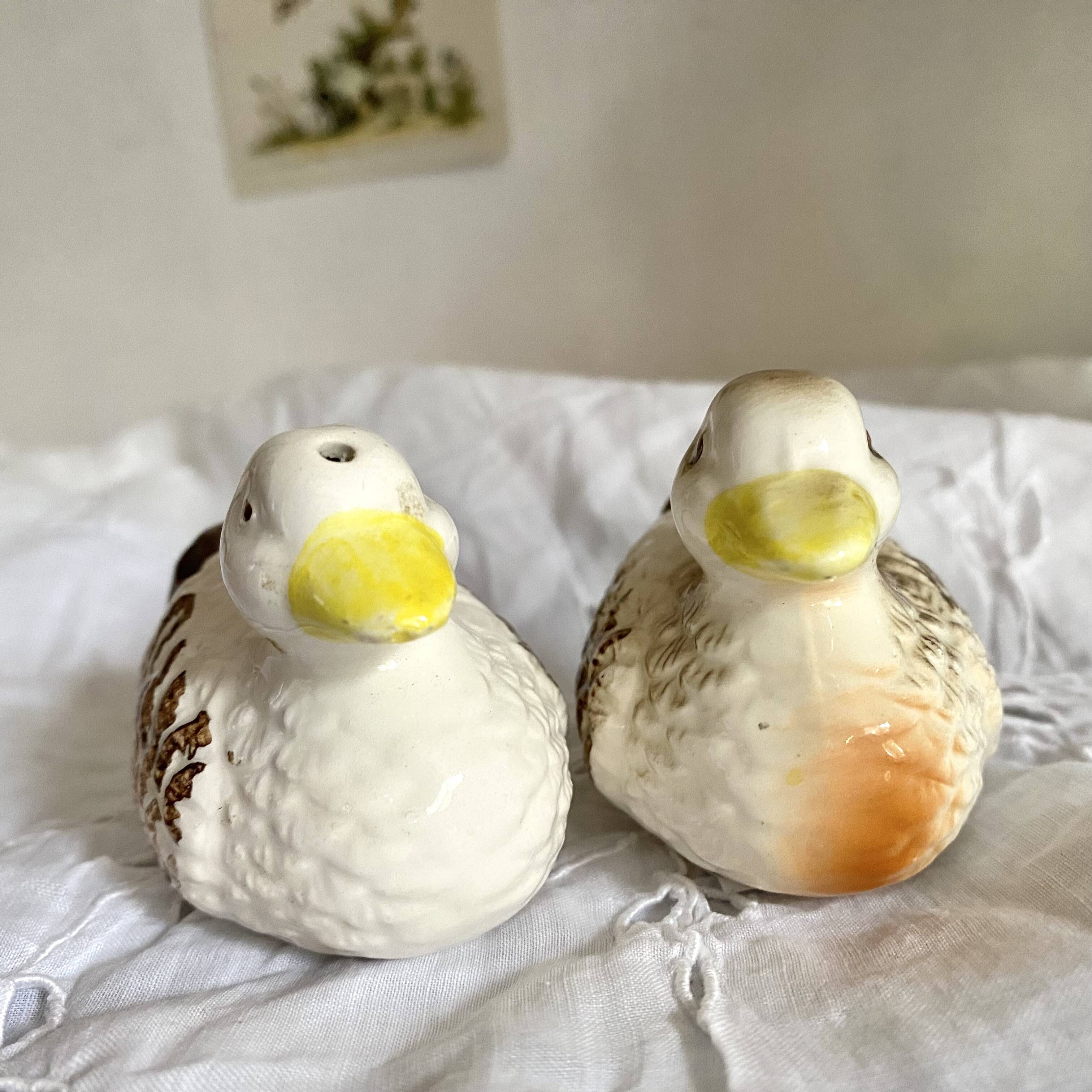 Duck barbotine salt and pepper shaker
