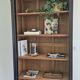 Library shelf cabinet of curiosities Art Nouveau black