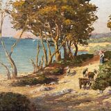 Midday landscape