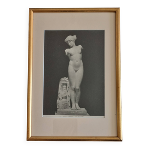 Photographie de la Vénus