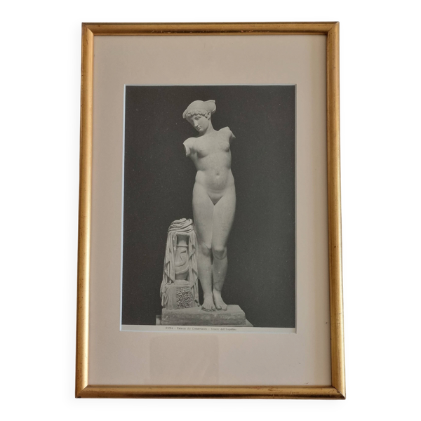 Photographie de la Vénus de l'Esquilin Palazzo dei Conservatori 27x39 cm