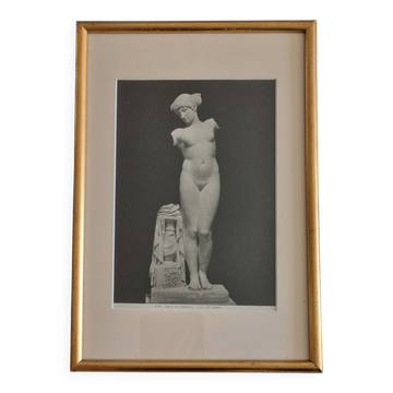 Photograph of the Venus of the Esquiline Palazzo dei Conservatori 27x39 cm