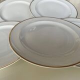 Limoges porcelain plates