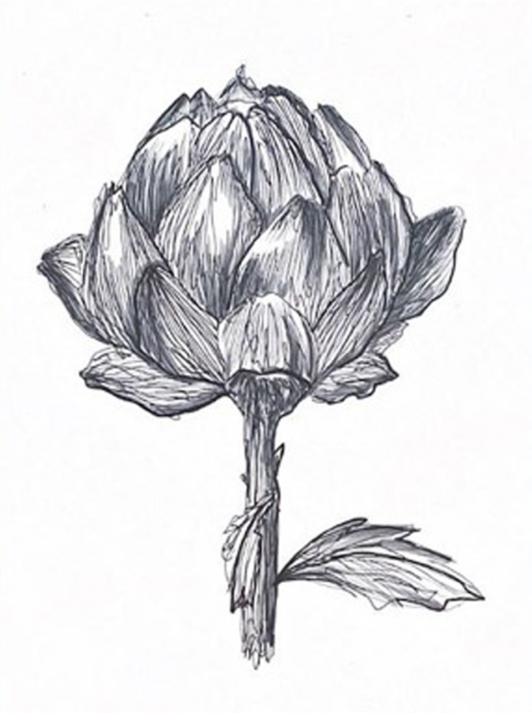 Illustration "Hammer" -  A3