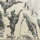 Planche vintage originale équitation