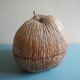 vintage ice bucket coconut Nocodaf Abidjan 70s