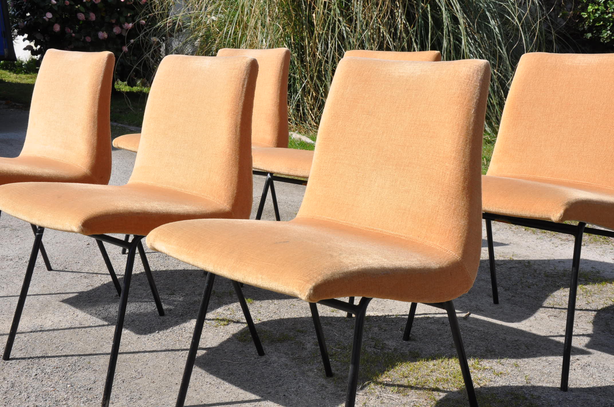 Pierre Paulin chairs