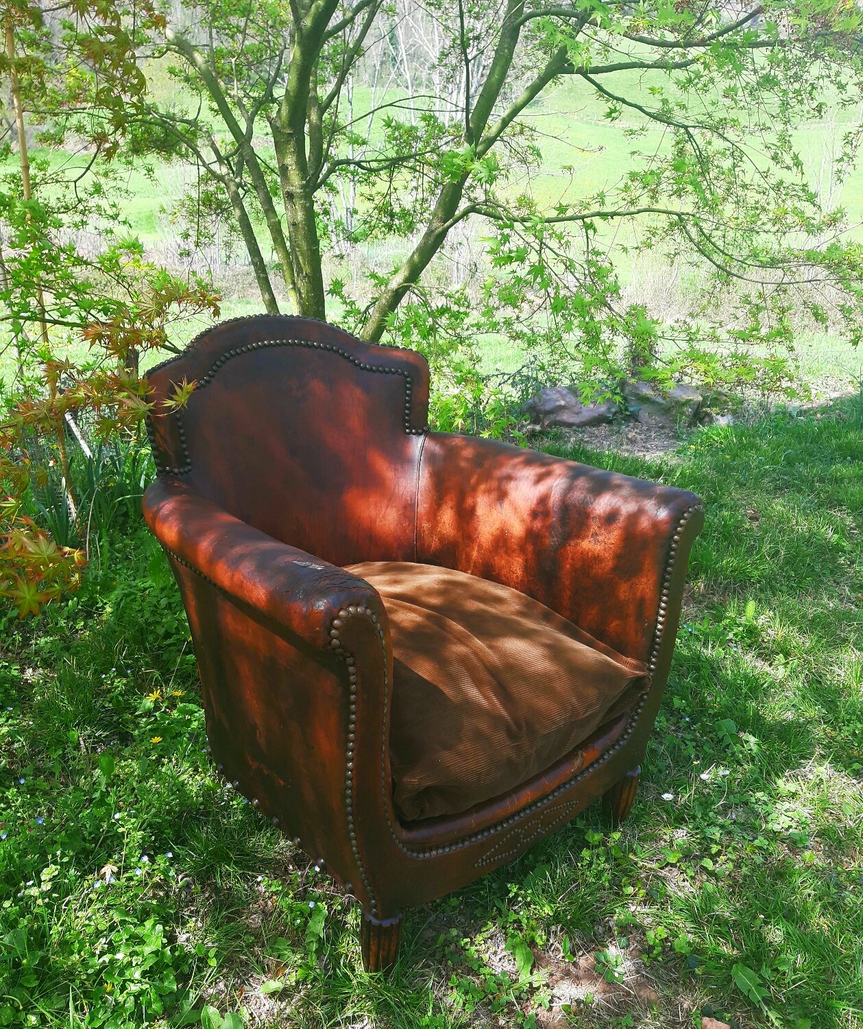 Club Armchair