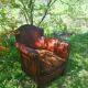 Club Armchair