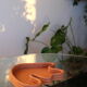 Centerpiece Lali Terracotta - Sophie Parachey
