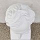Plaster bust "F. ARAGO / 1839" made by P.J. DAVID (of Angers)