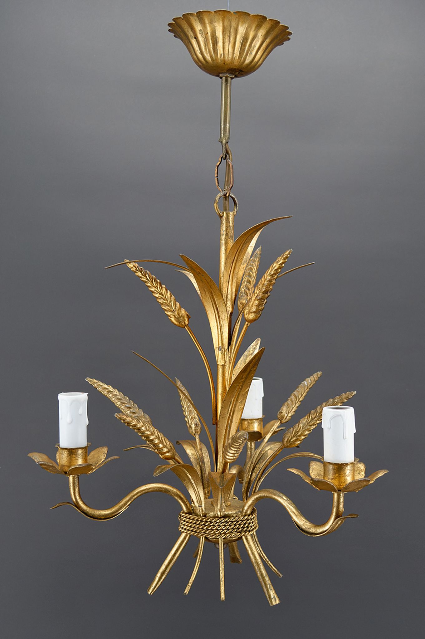 Golden suspension on ears of wheat, circa 1960