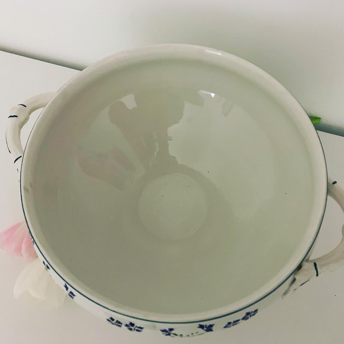 Porcelain tureen / earthenware of onnaing decoration barbeau