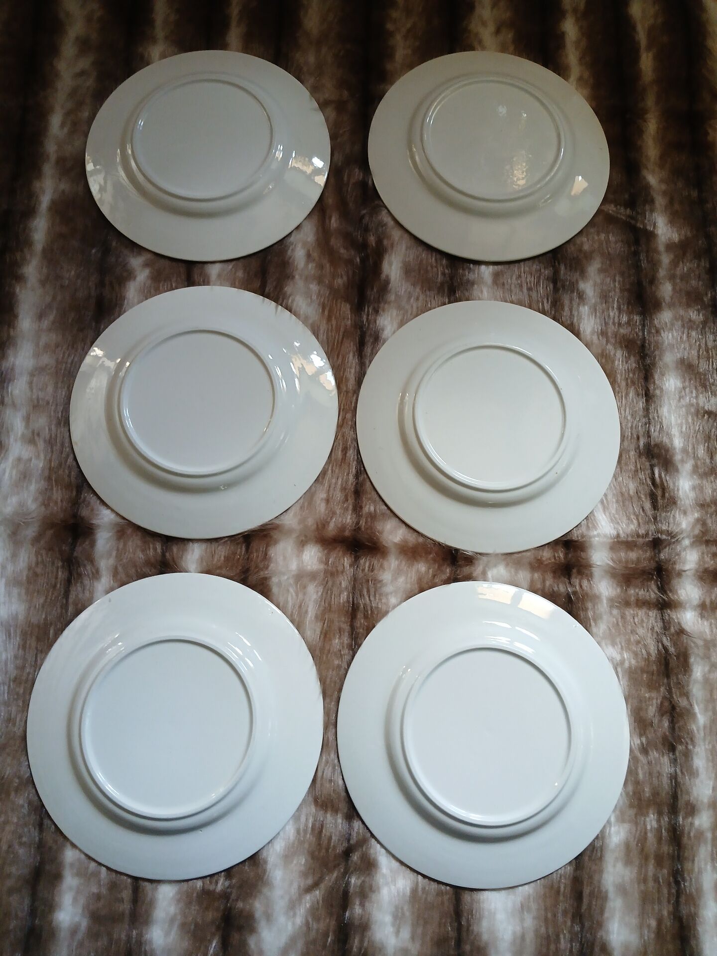 6 antique dinner plates