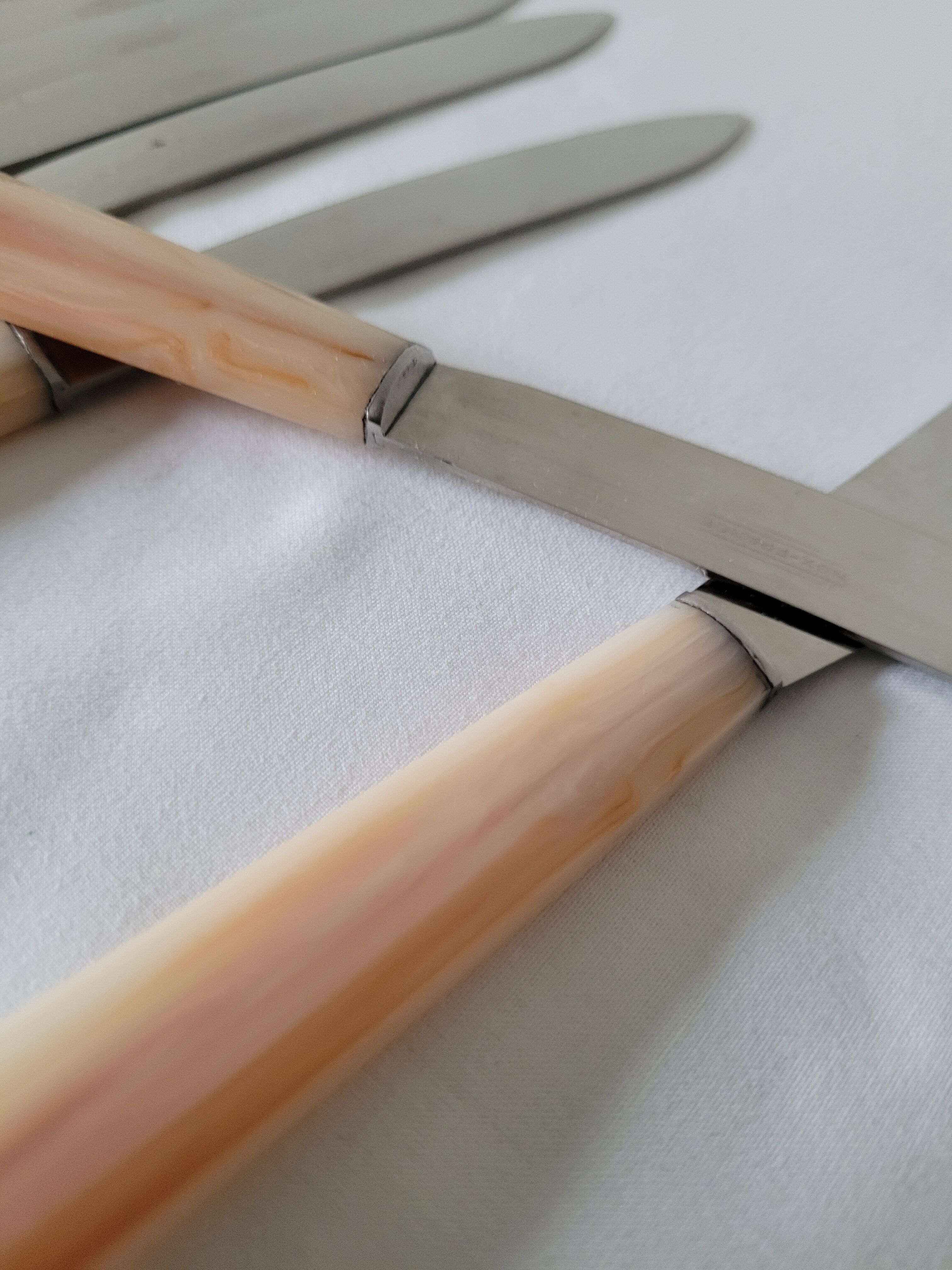 Box of 12 cheese knives