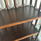 Rattan shelf / bookcase with cabinet