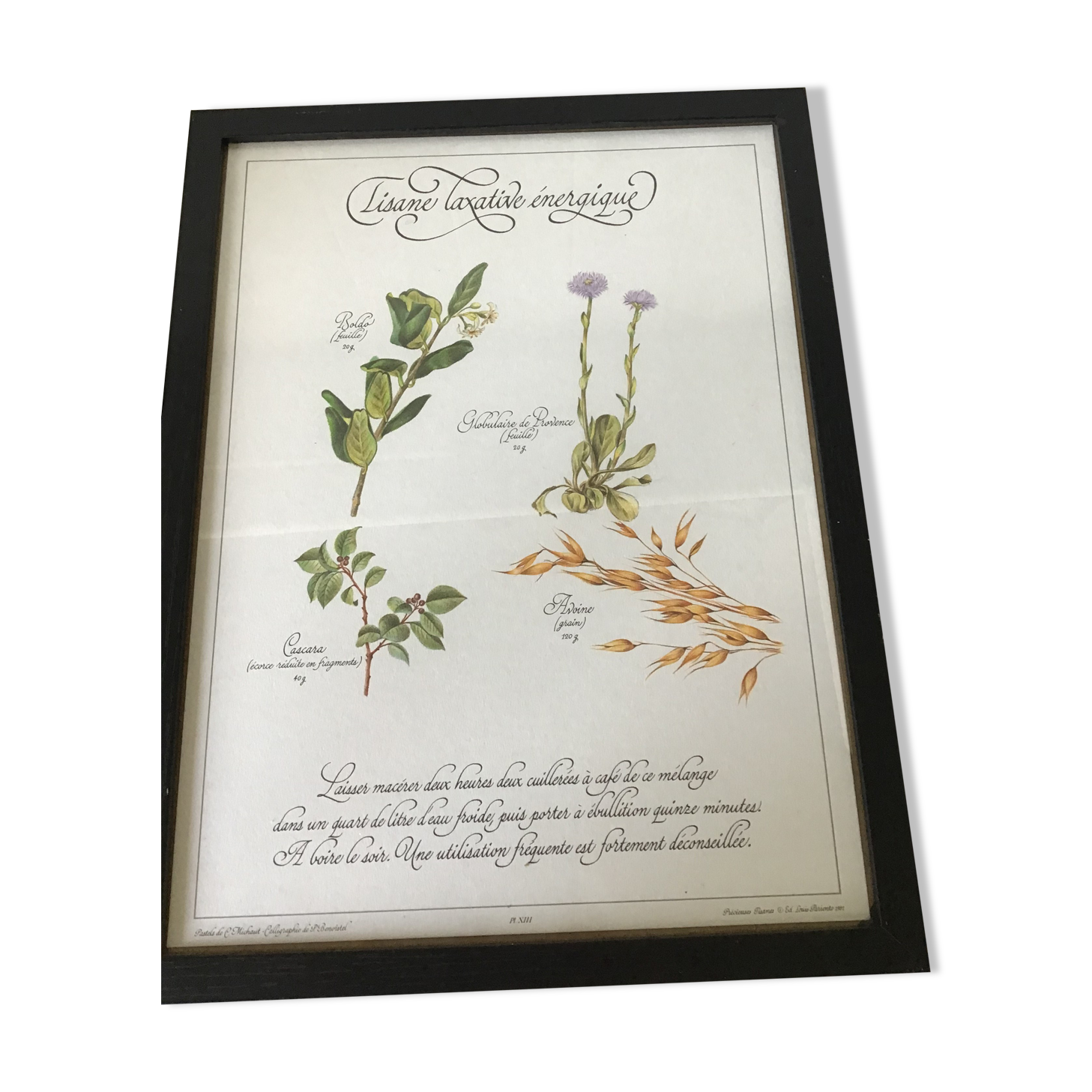 Gravure botanique précieuses tisanes encadree