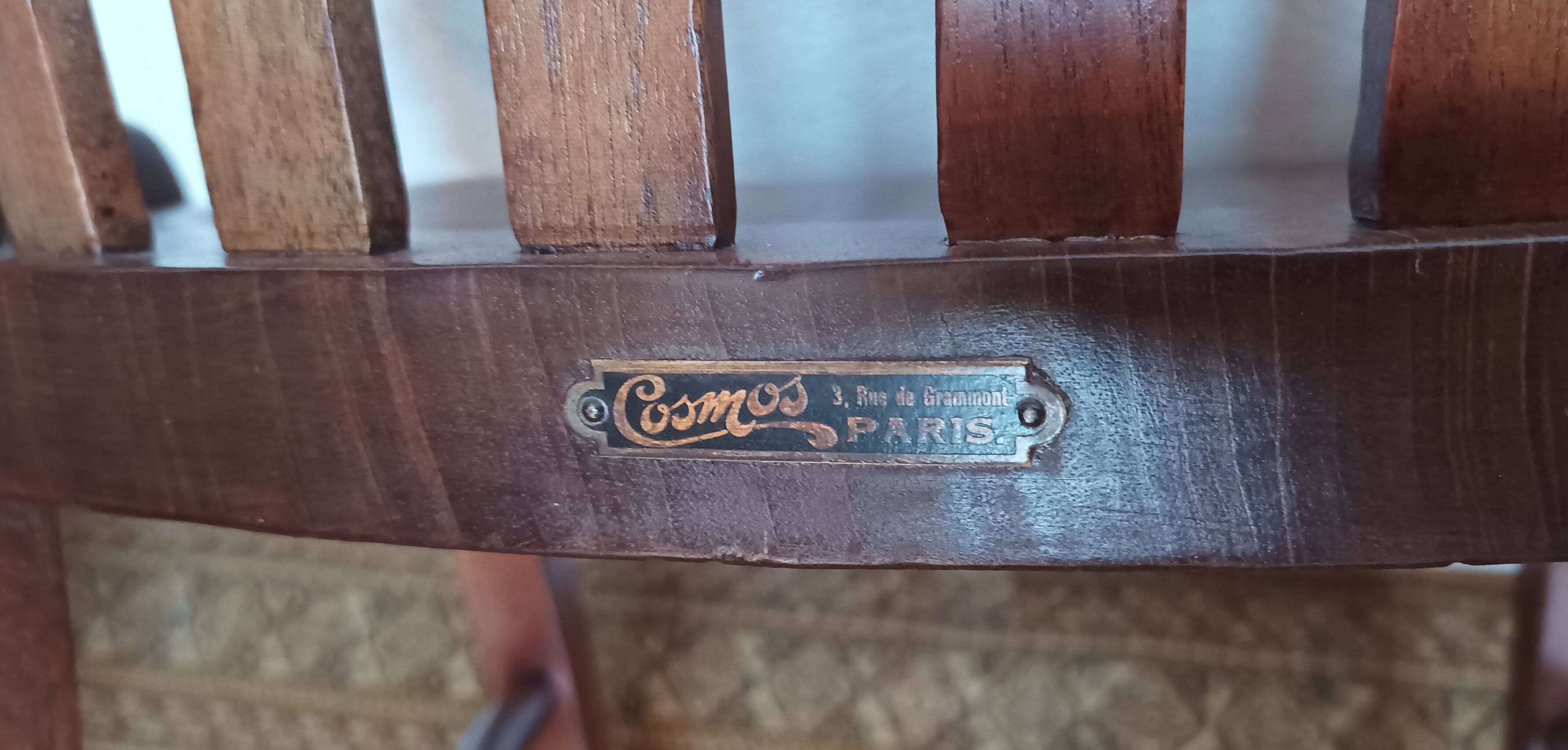 Vintage Cosmos house chair