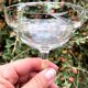 Set of 5 champagne cups in engraved crystal from the 1950s elegant