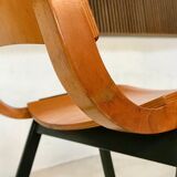 Set of 6 Dining Chairs P7 by Roland Rainer for E & A Pollack, Vienna 1952