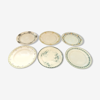 Assorted 6 green dominant flat plates