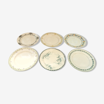 Assortiment de 6 assiettes plates dominante verte