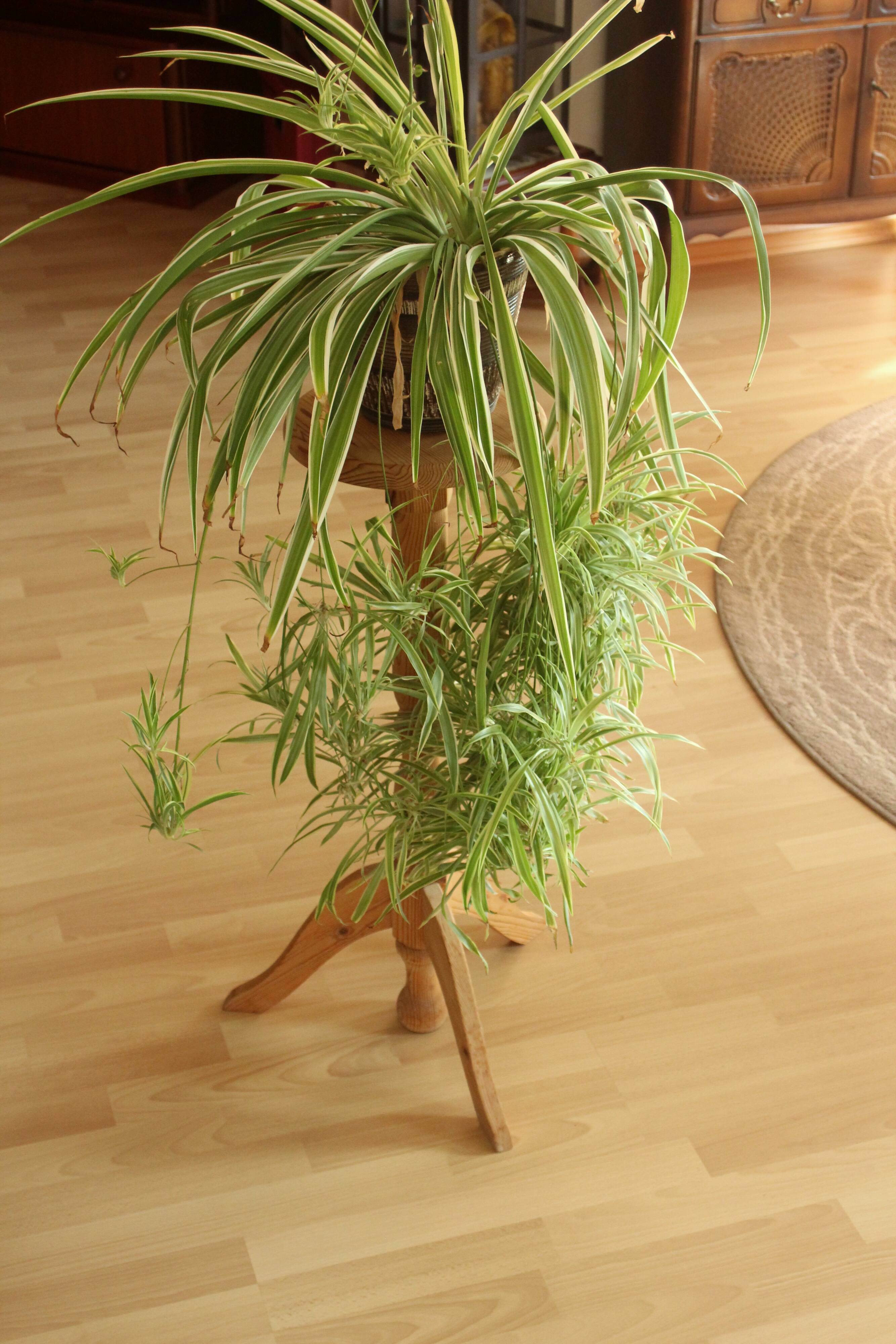 High wooden plant stand - handmade in the 80s - Vintage