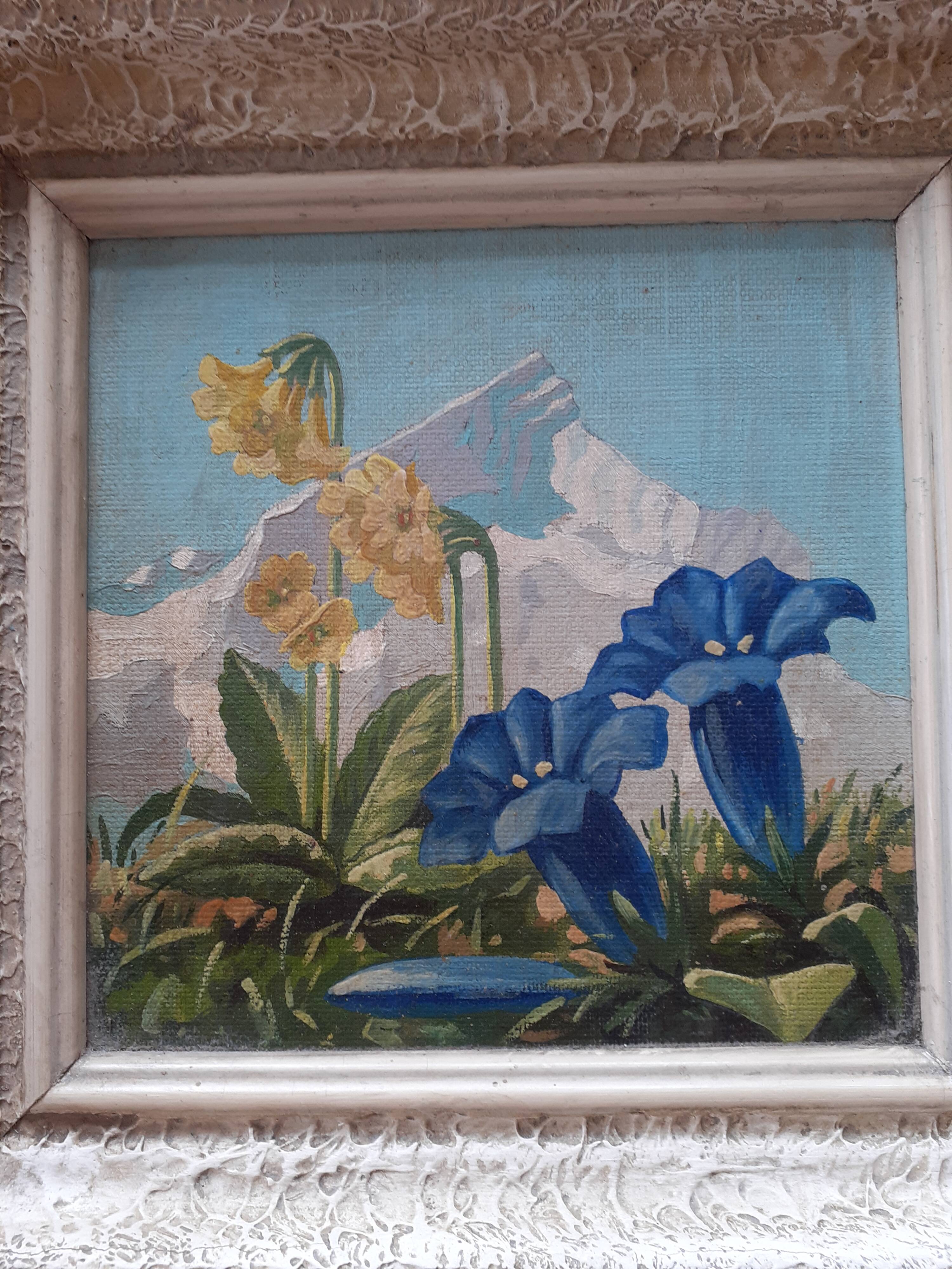 Square table flowers of the mountain fields