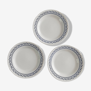 Set of 3 Oxford Brazil dinner plates