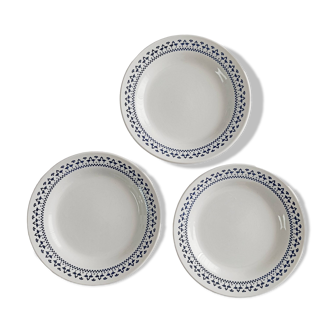 Set of 3 Oxford Brazil dinner plates