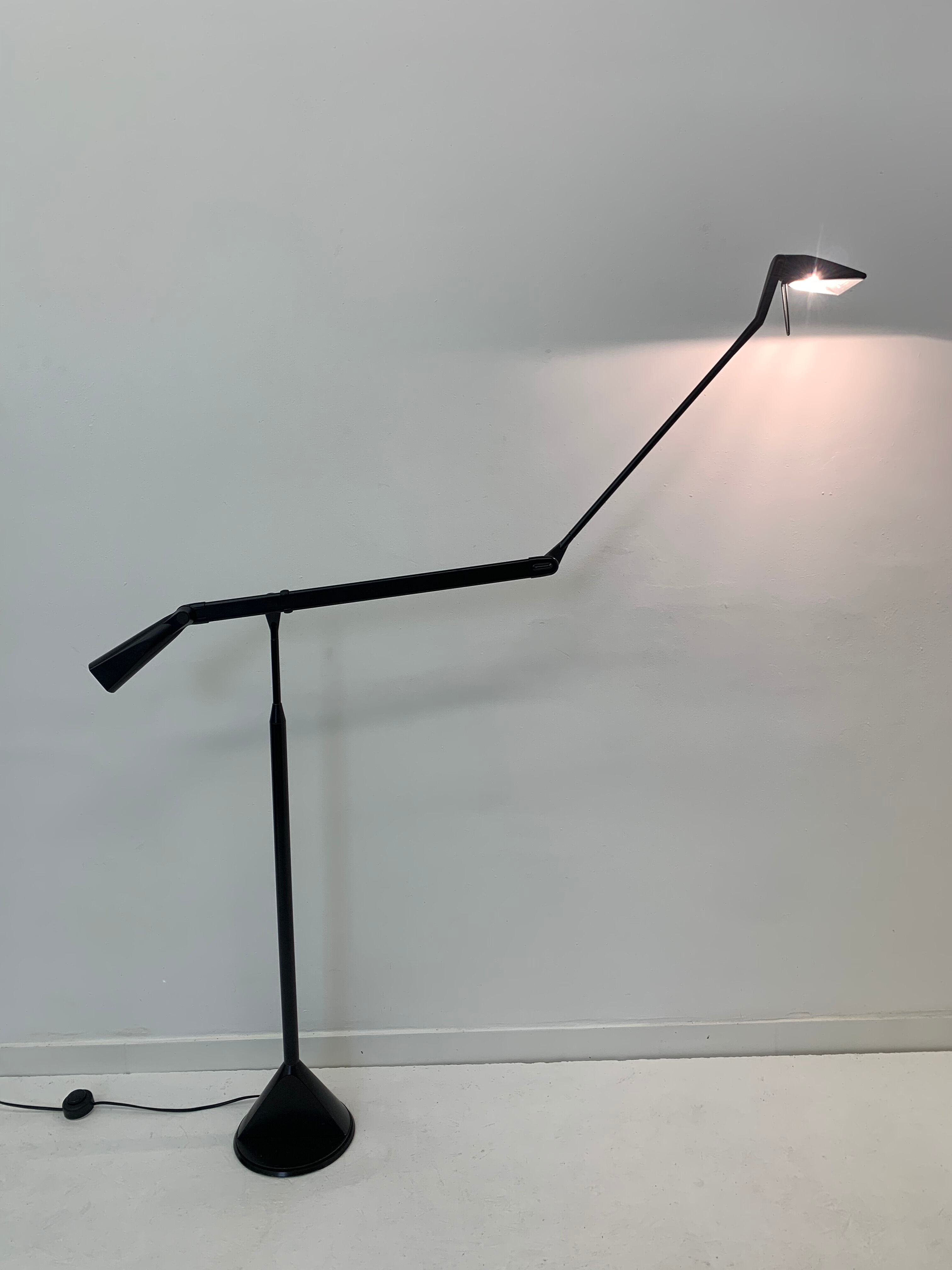 Zelig Terra Floor Lamp by Walter Monici for Lumina, 1980s