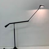 Zelig Terra Floor Lamp by Walter Monici for Lumina, 1980s