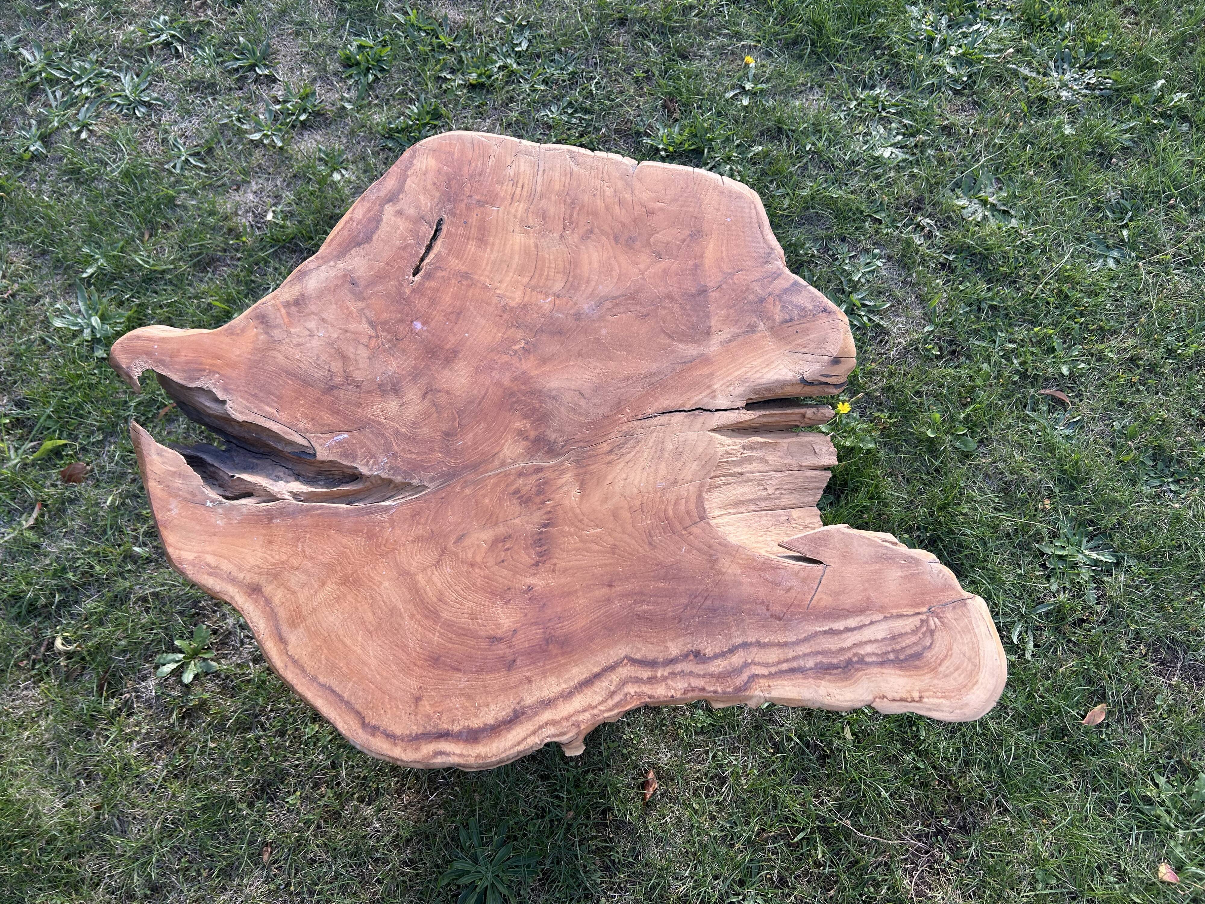 Root sculptural coffee table