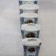 Antique spice jar Czechoclovakia porcelain decoration boat collection