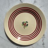 7 gien plates