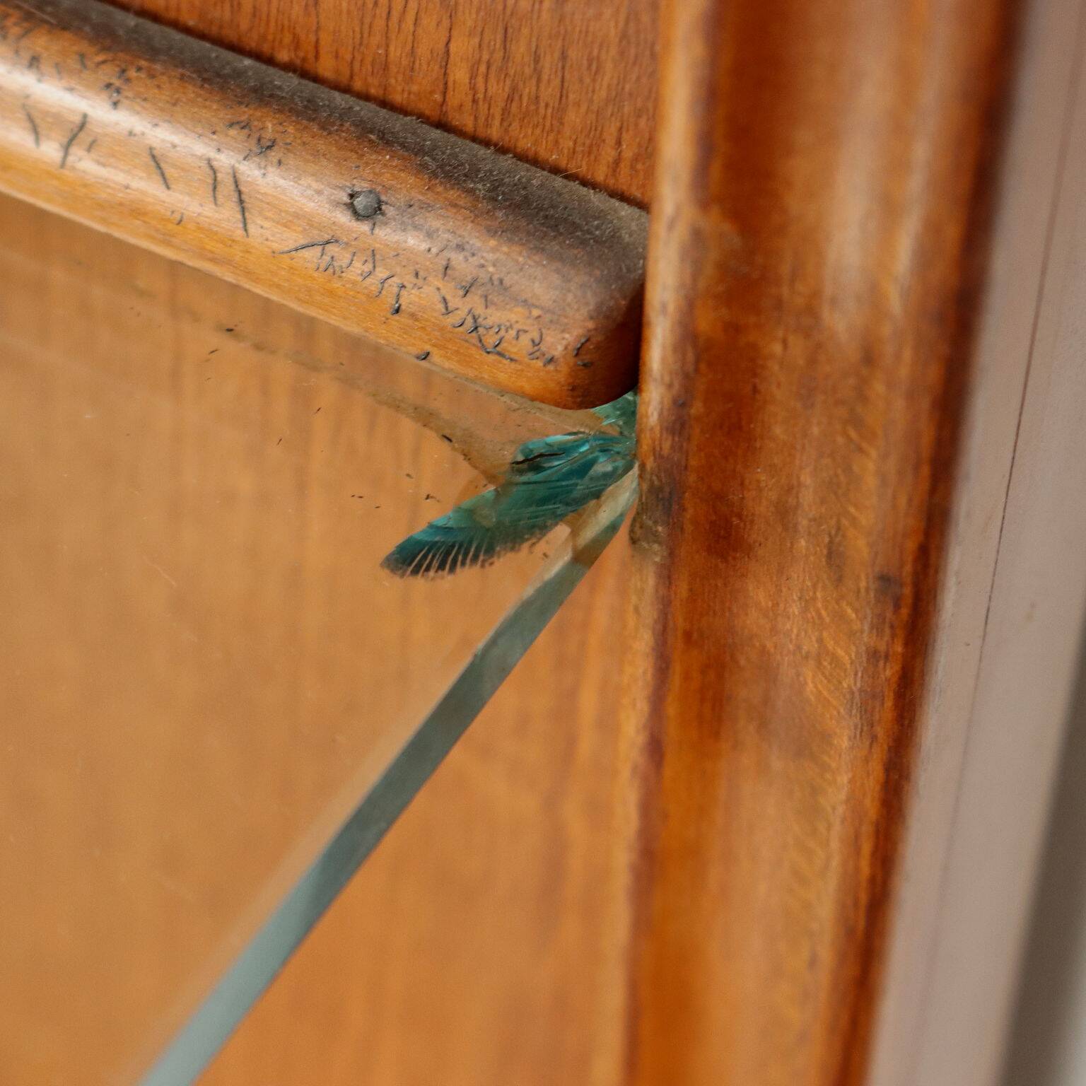 Coat rack from the 1940s-50s