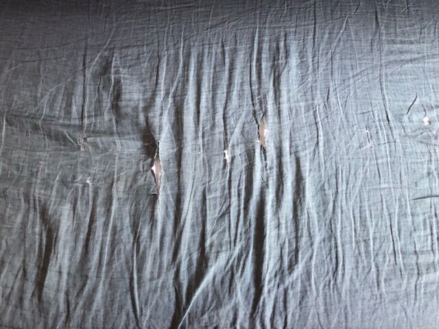 Sofa Gervasoni Ghost 12 gray green