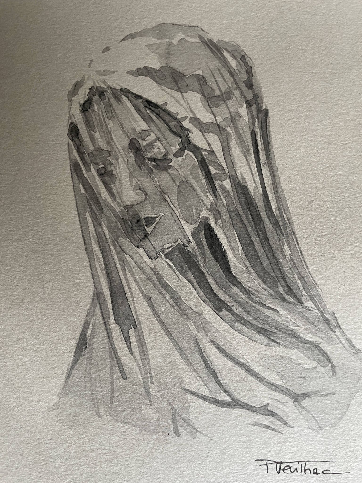 Painting signed watercolor monochrome sepia study statue of “the veiled virgin by Giovanni Strazza”