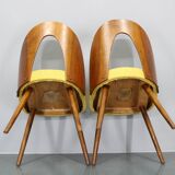1960s Antonin Suman Set of Four Restored Dining Chairs in Walnut Finish