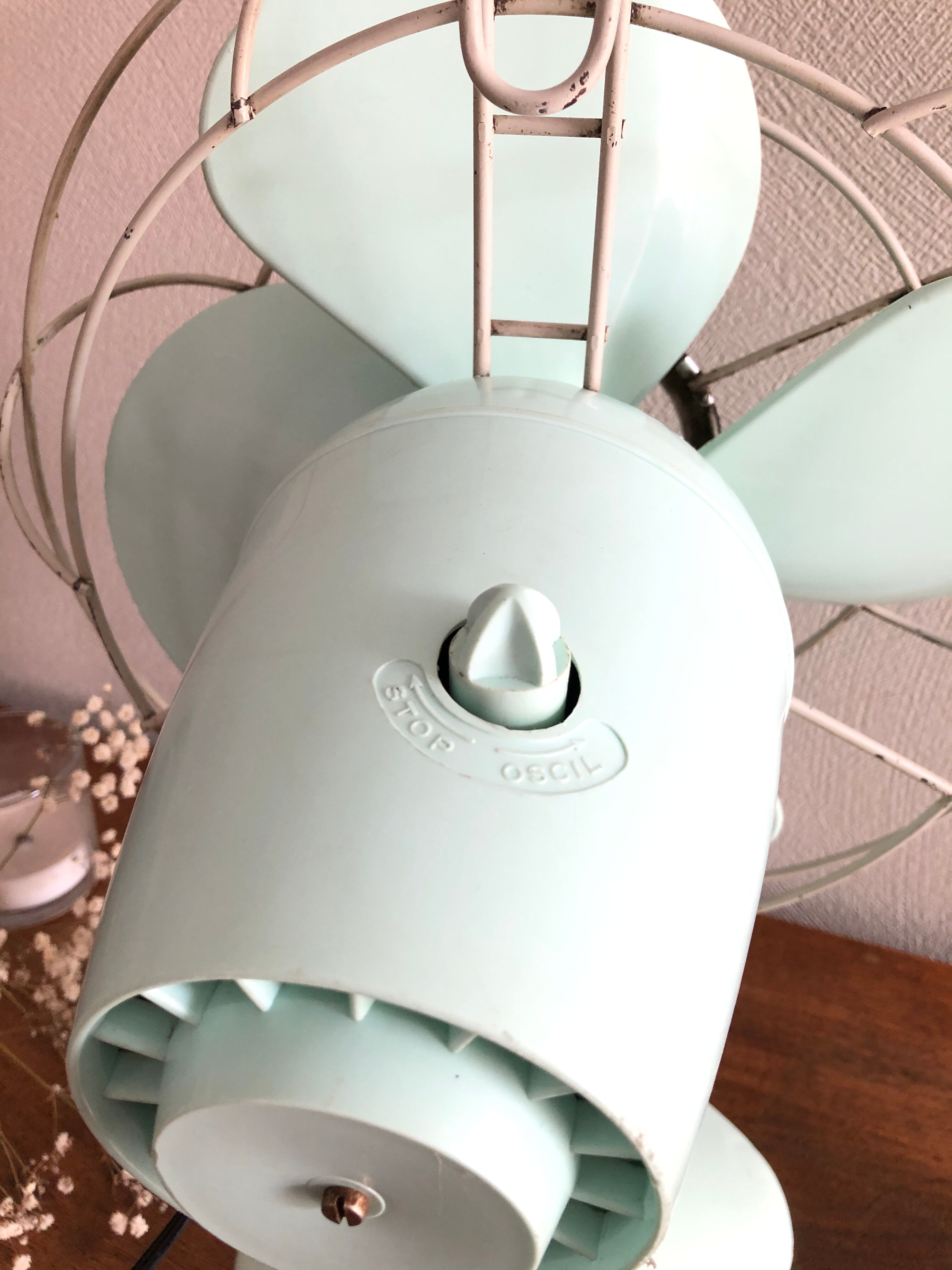 Calor Minth Vintage Fan