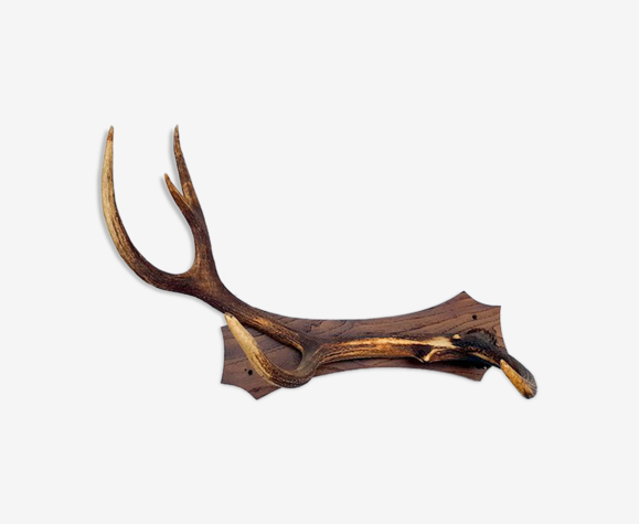 Bois de cerf