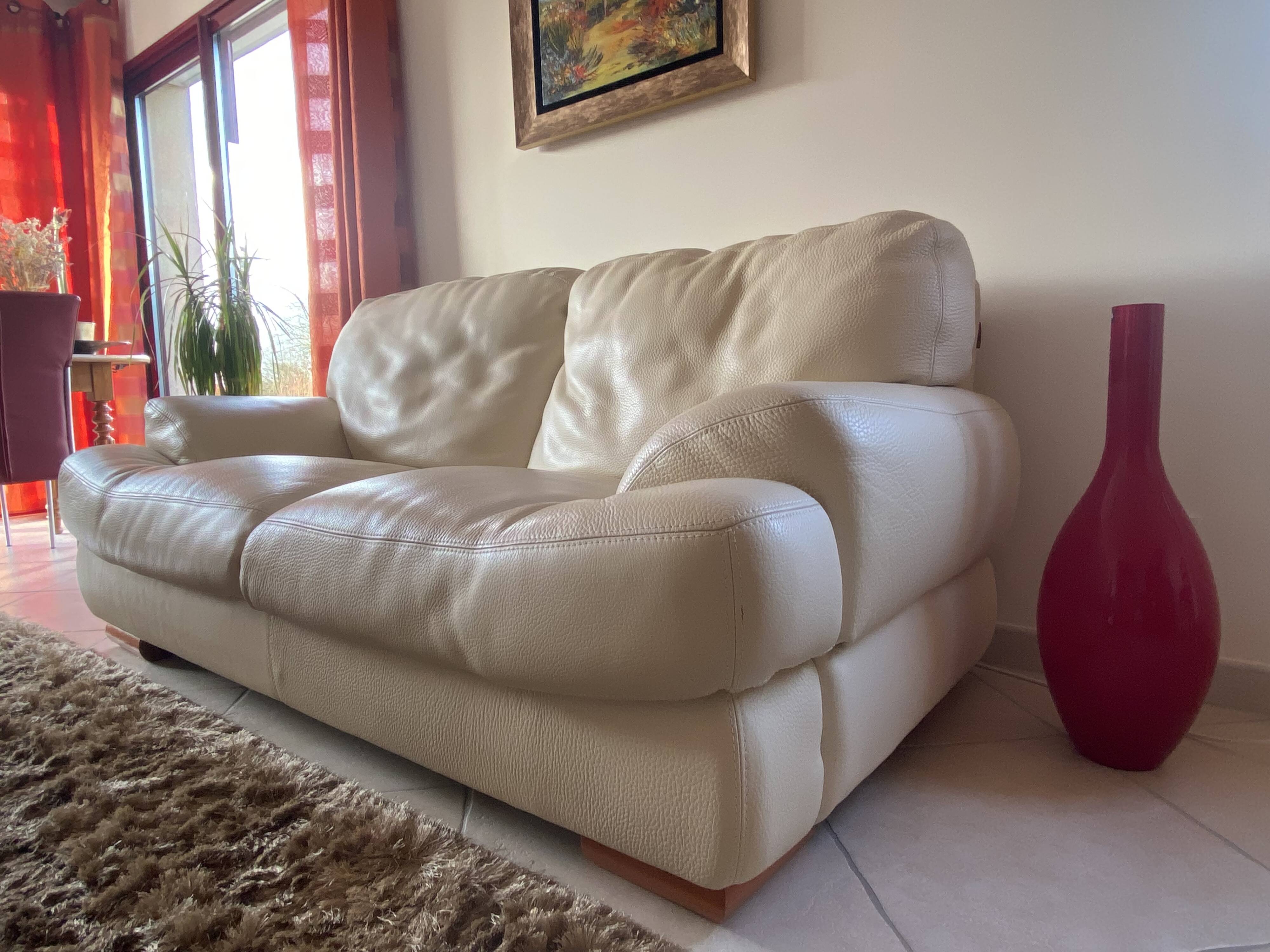 Roche bobois 2-seat sofa