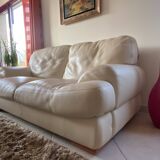 Roche bobois 2-seat sofa