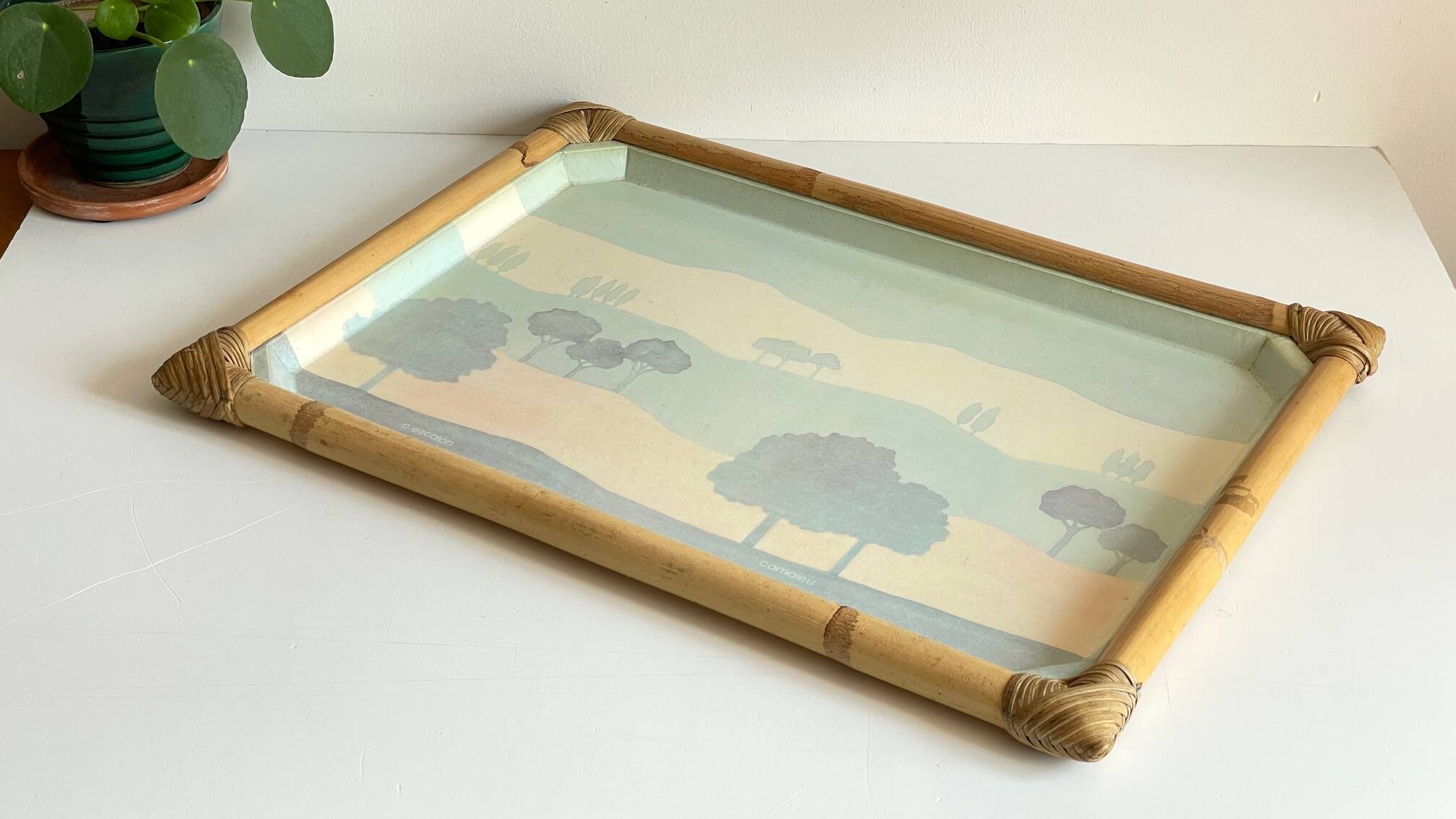 Catherine escalon vintage fiberglass serving tray
