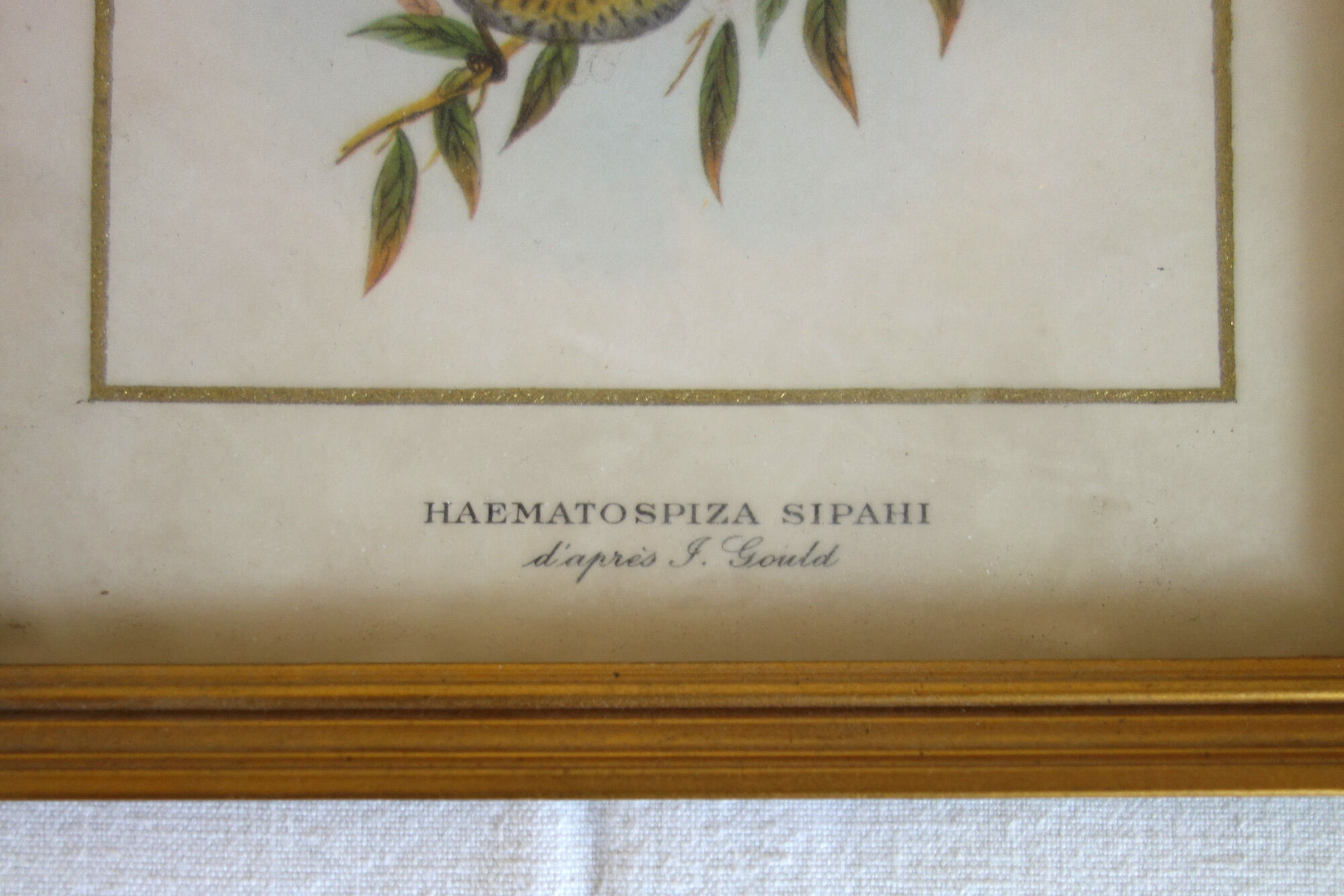 Pair of vintage boards under frame