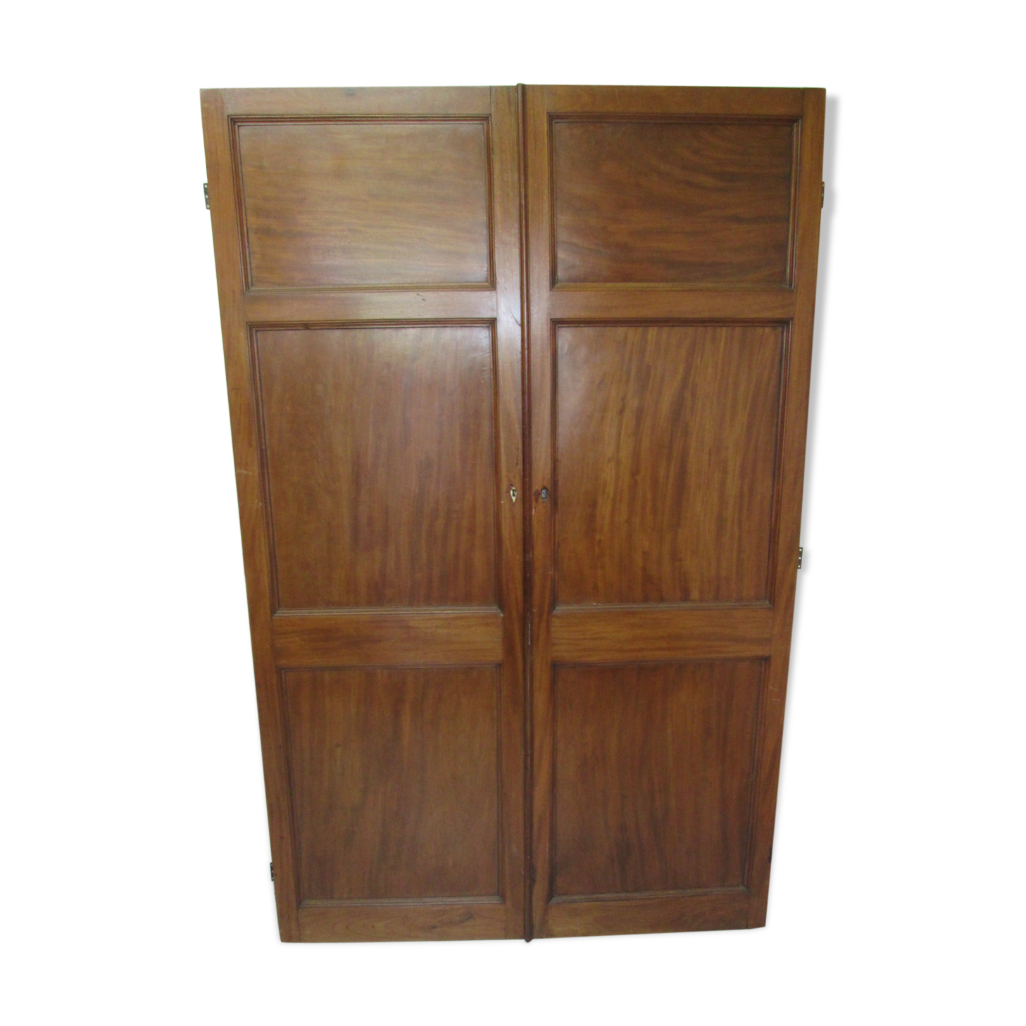 Pair of mahogany doors